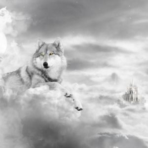 Meet your Posher, Joann